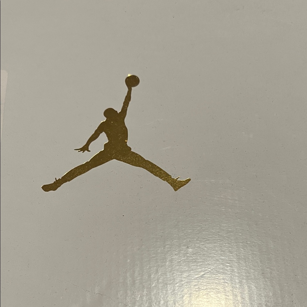 Nike Air Jordan Low Black and Light Blue Sneakers - Picture 10 of 10